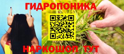 герыч Будённовск